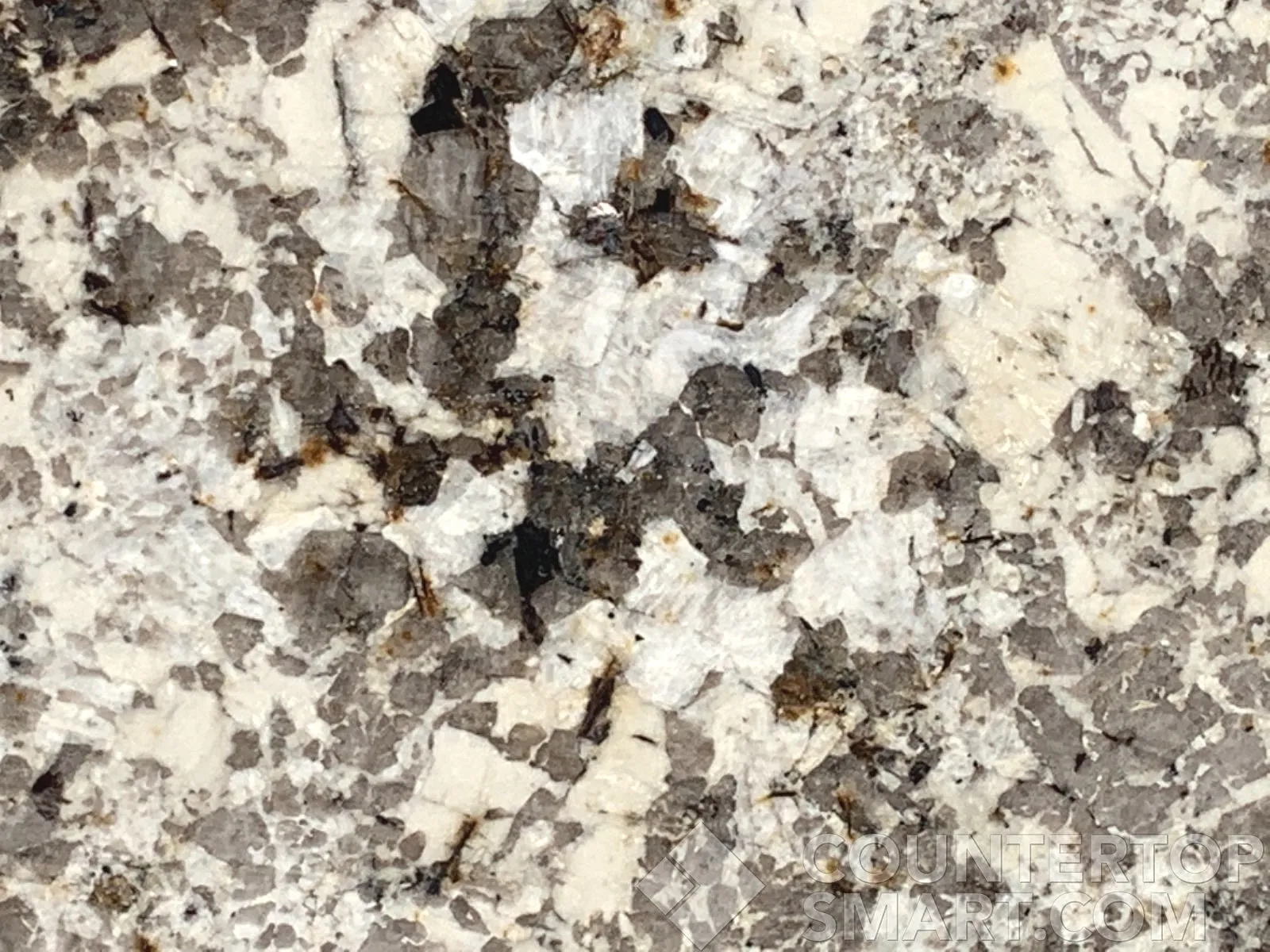 Closeup image of Delicatus White Grey Granite countertop slab