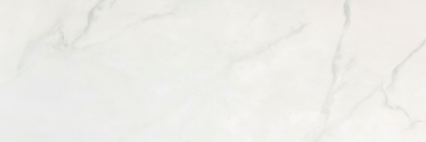 Image of Item
