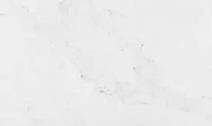Image of Item