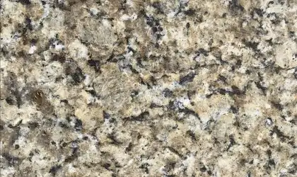 Image of Item