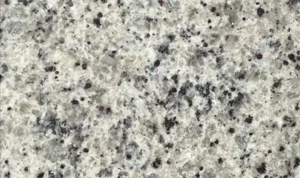 Image of Item