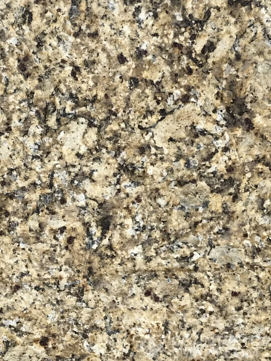 Image of Item