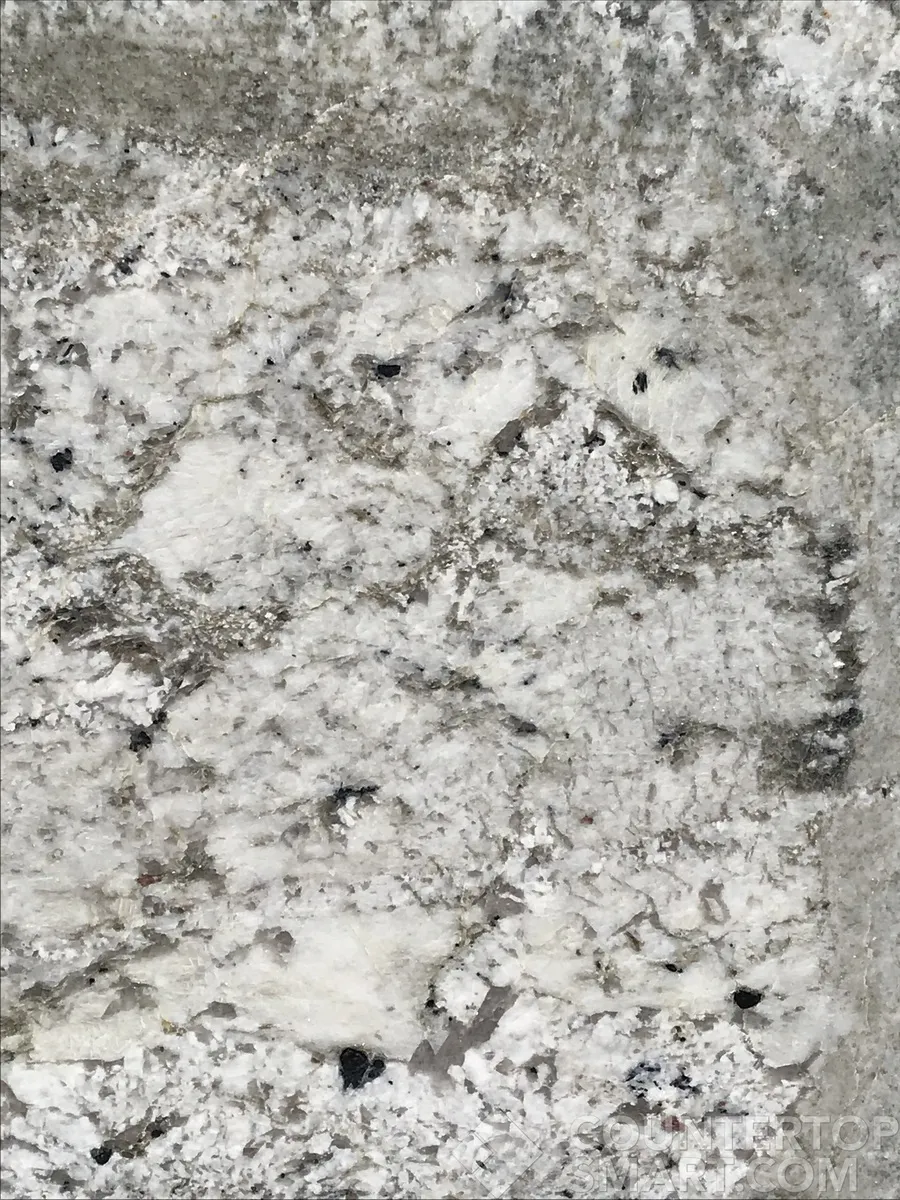 Image of Item