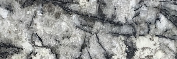 Image of Item