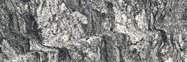 Image of Item