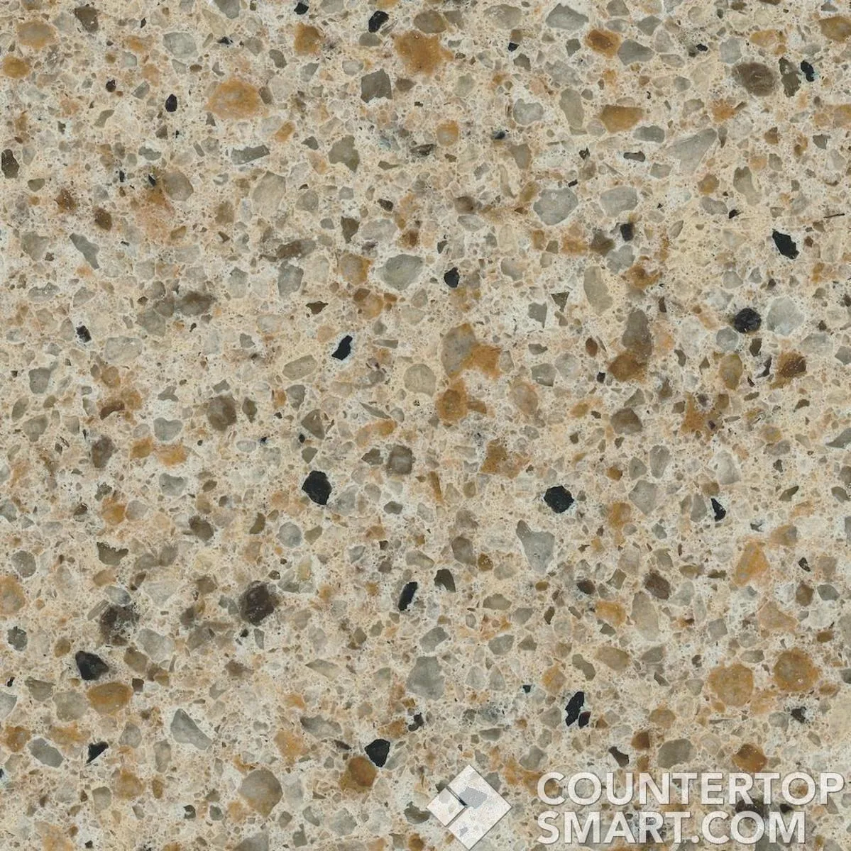Image of Item