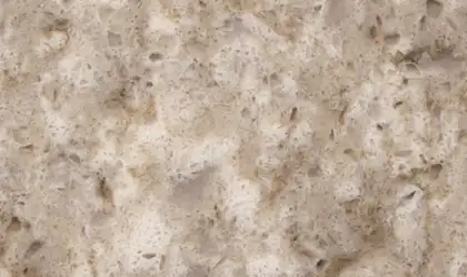 Image of Item