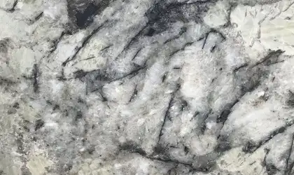 Image of Item