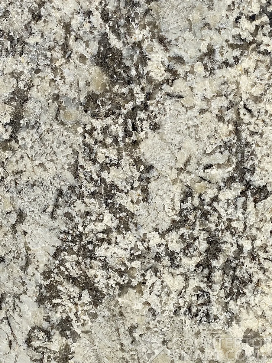 Closeup image of Picasso Granite countertop slab
