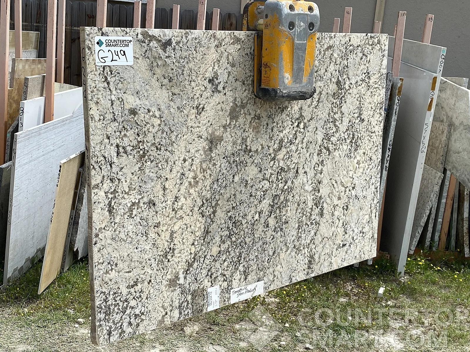 Image of Item