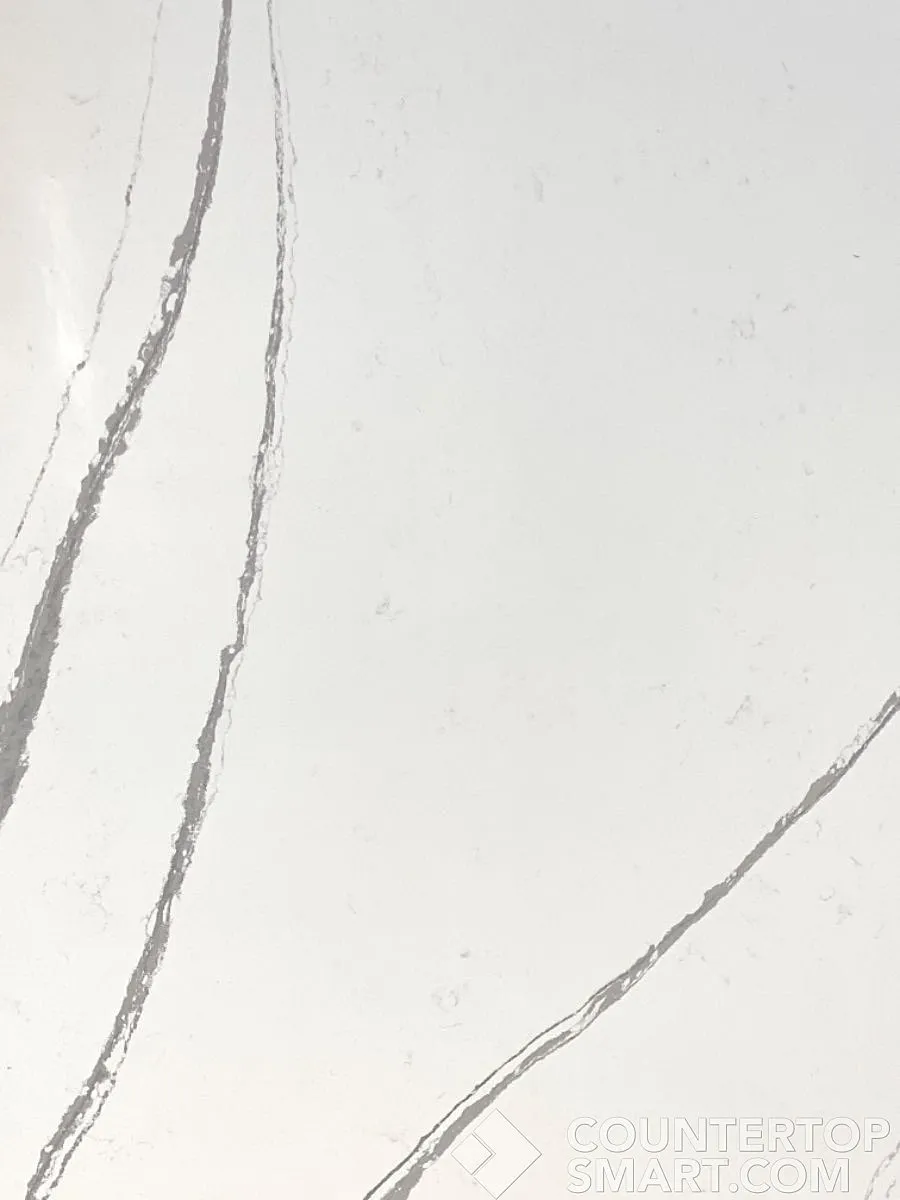 Closeup image of Silestone Eternal Bella White Quartz countertop slab