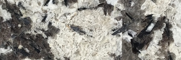 Image of Item
