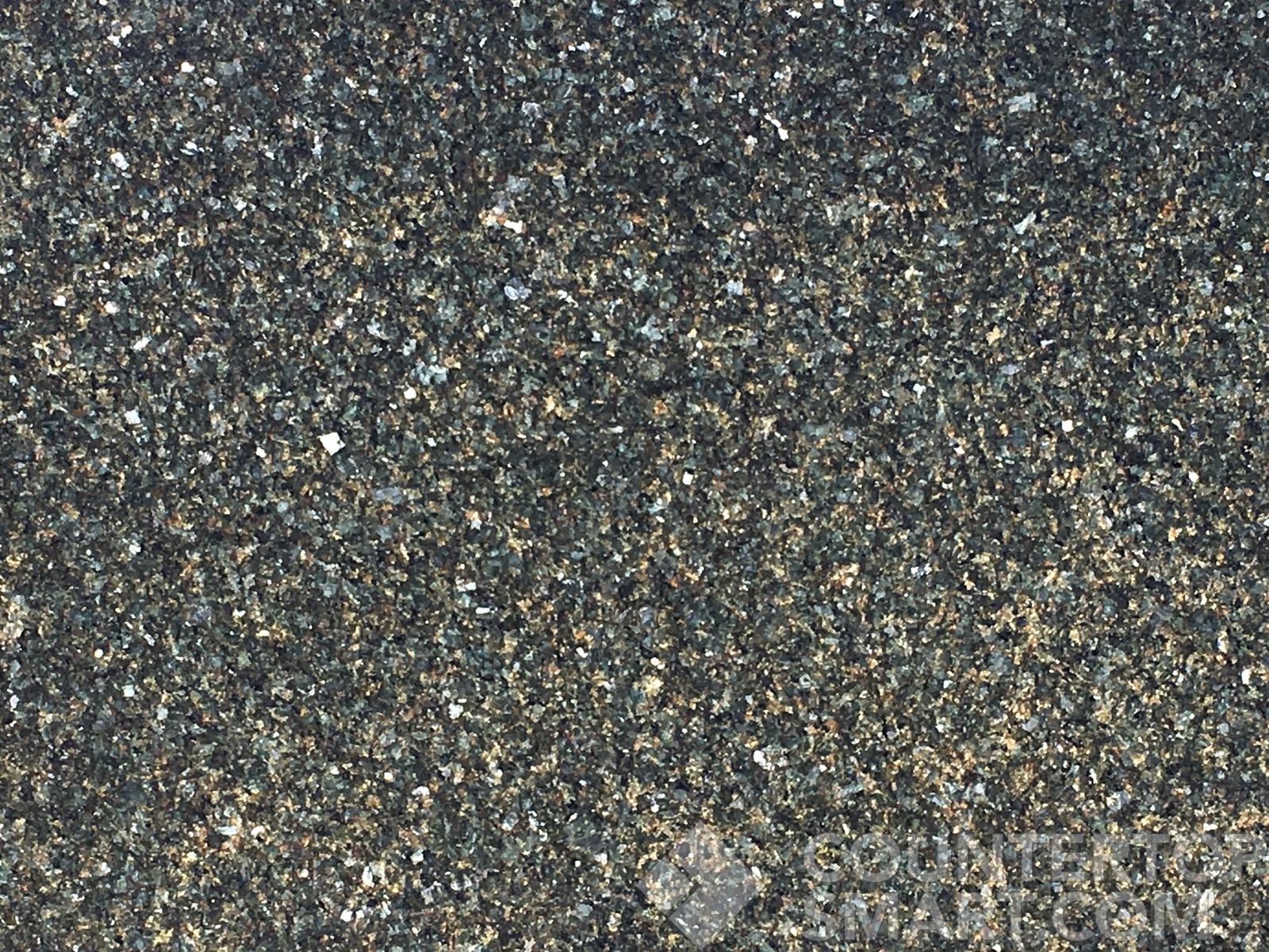 Image of Item