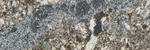 Image of Item