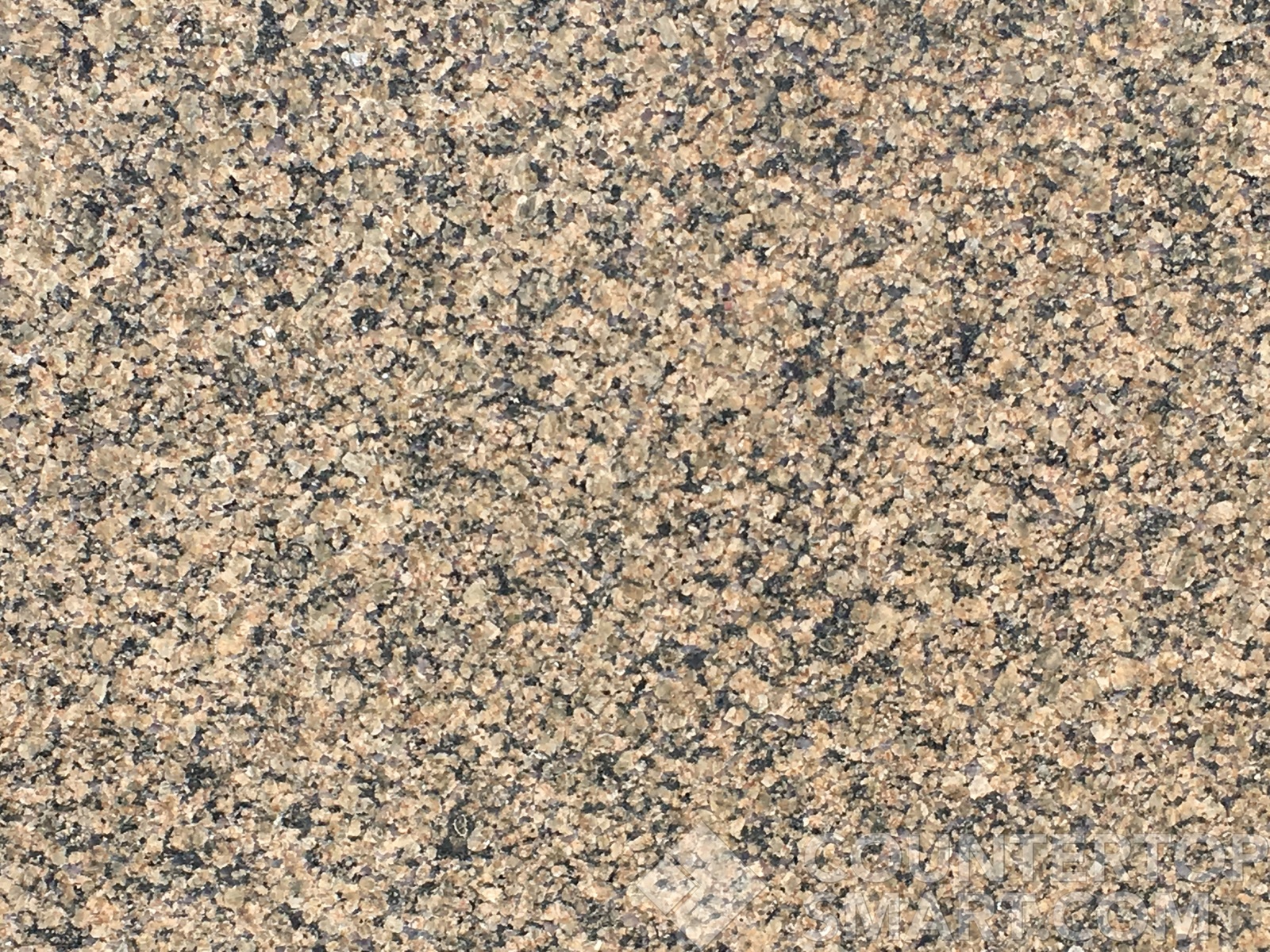 Image of Item
