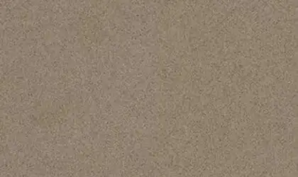 Image of Item