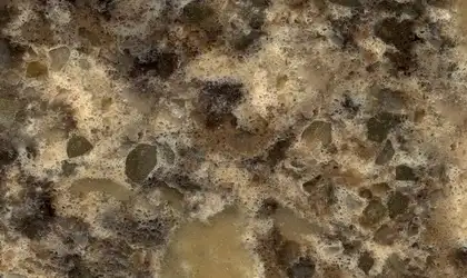Image of Item