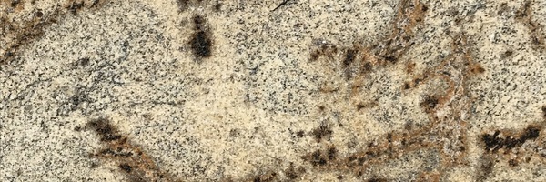 Image of Item