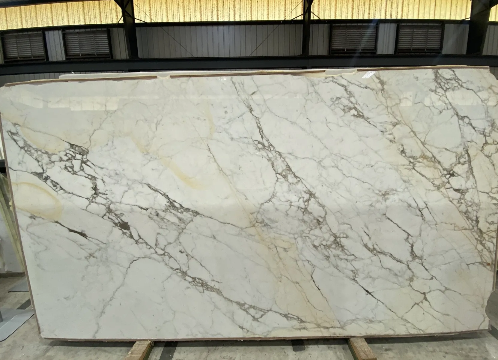 Closeup image of Calacatta Paonazzo Cream Marble countertop slab