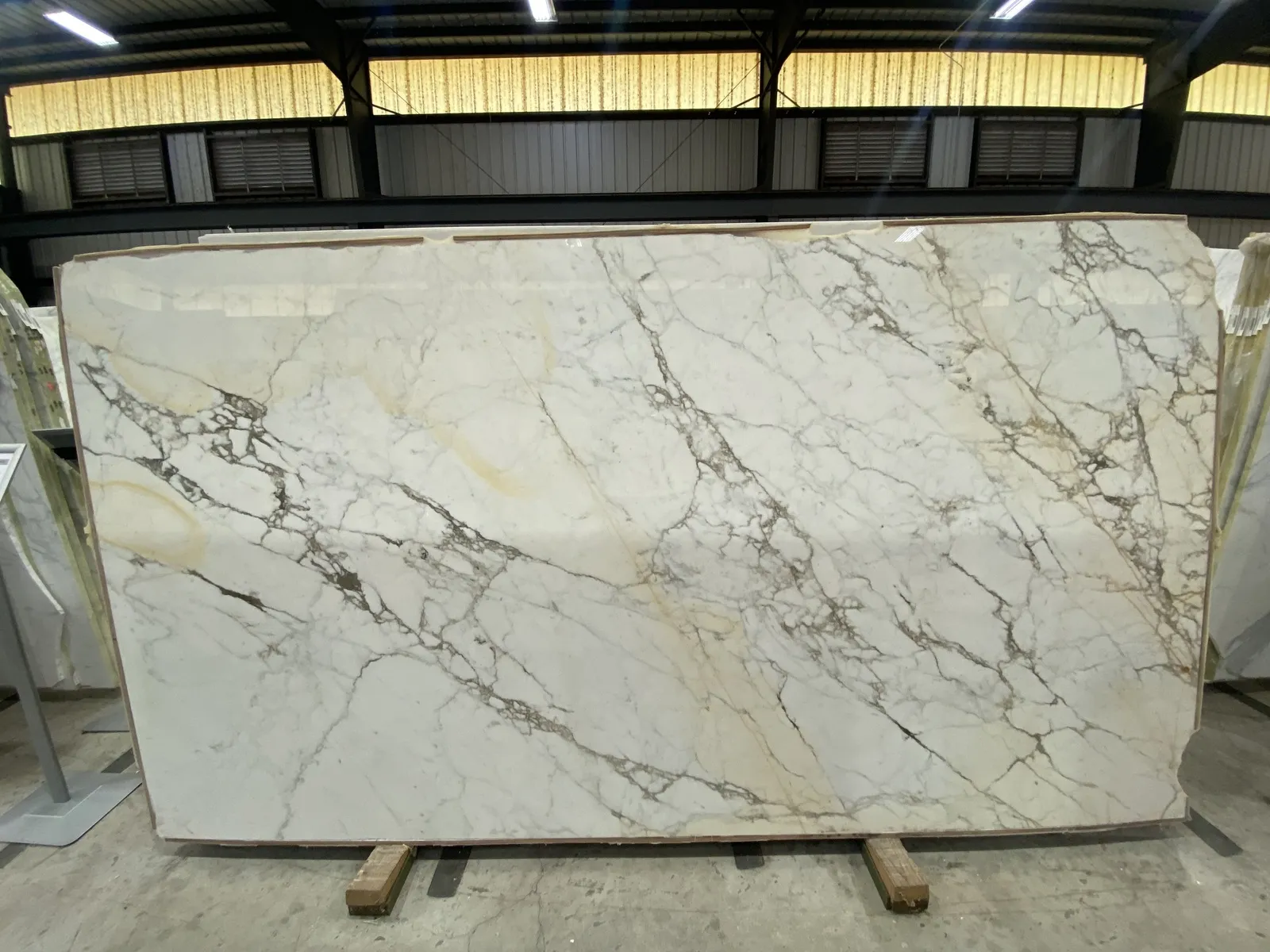 Image of Calacatta Paonazzo Cream Marble countertop slab