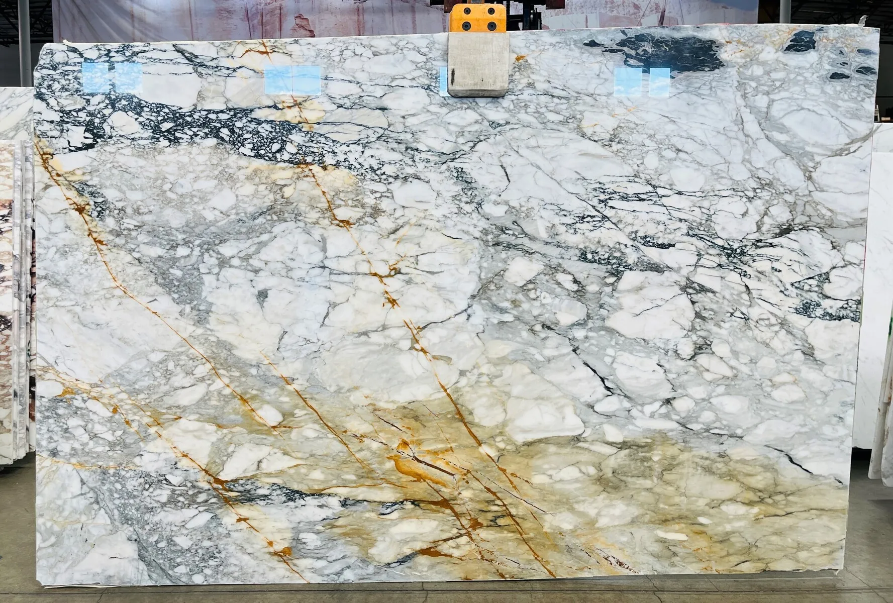 Image of Calacatta Paonazzo Extra White Marble countertop slab