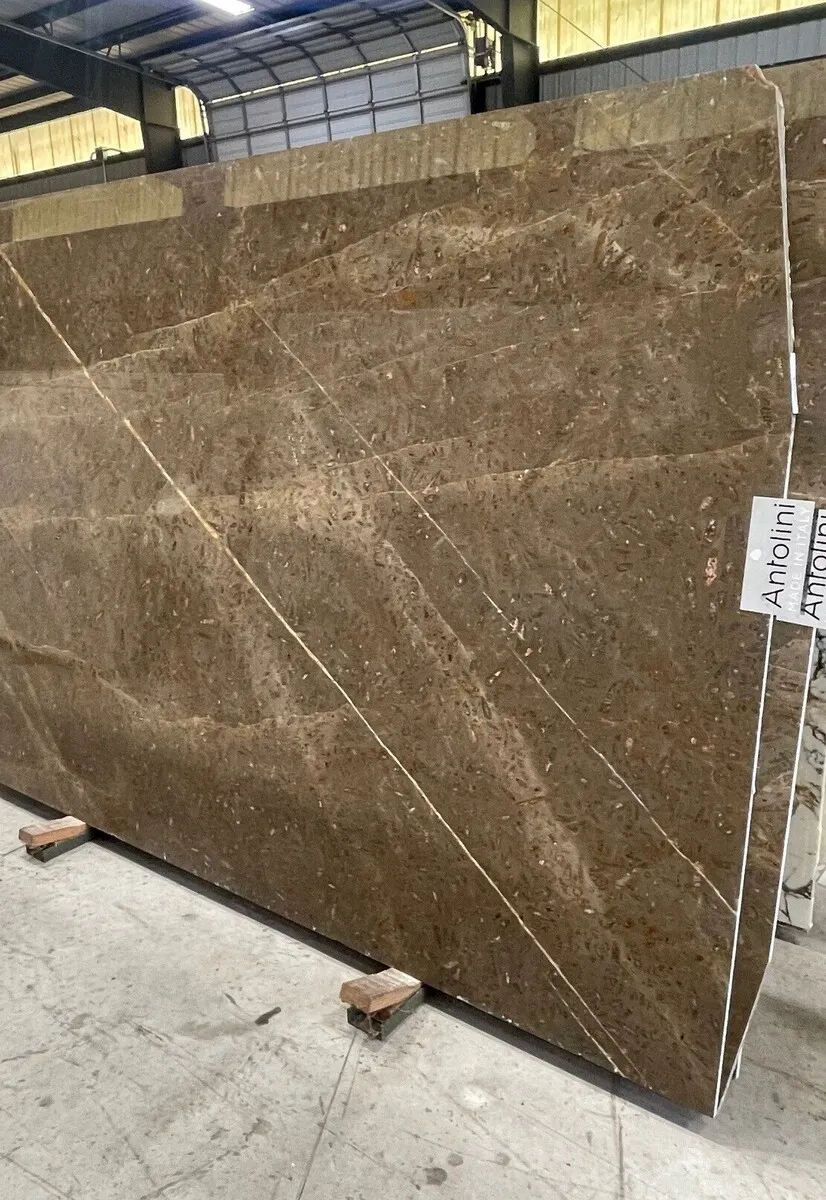 Closeup image of Jurassic Brown Brown Marble countertop slab