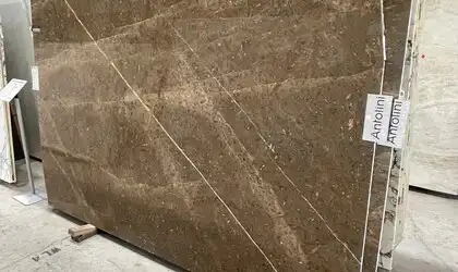 Image of Jurassic Brown Brown Marble countertop slab