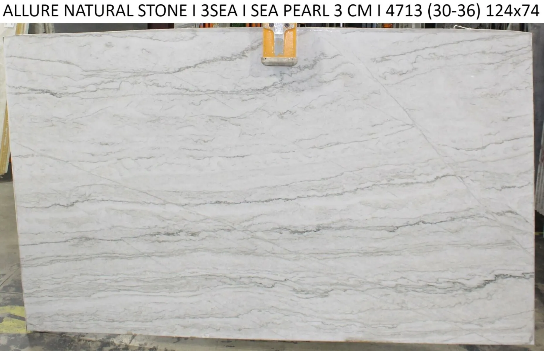 Image of Sea Pearl 1st Choice Grey Quartzite countertop slab