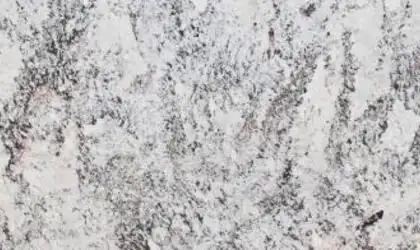 Closeup image of White Nile White Granite countertop slab