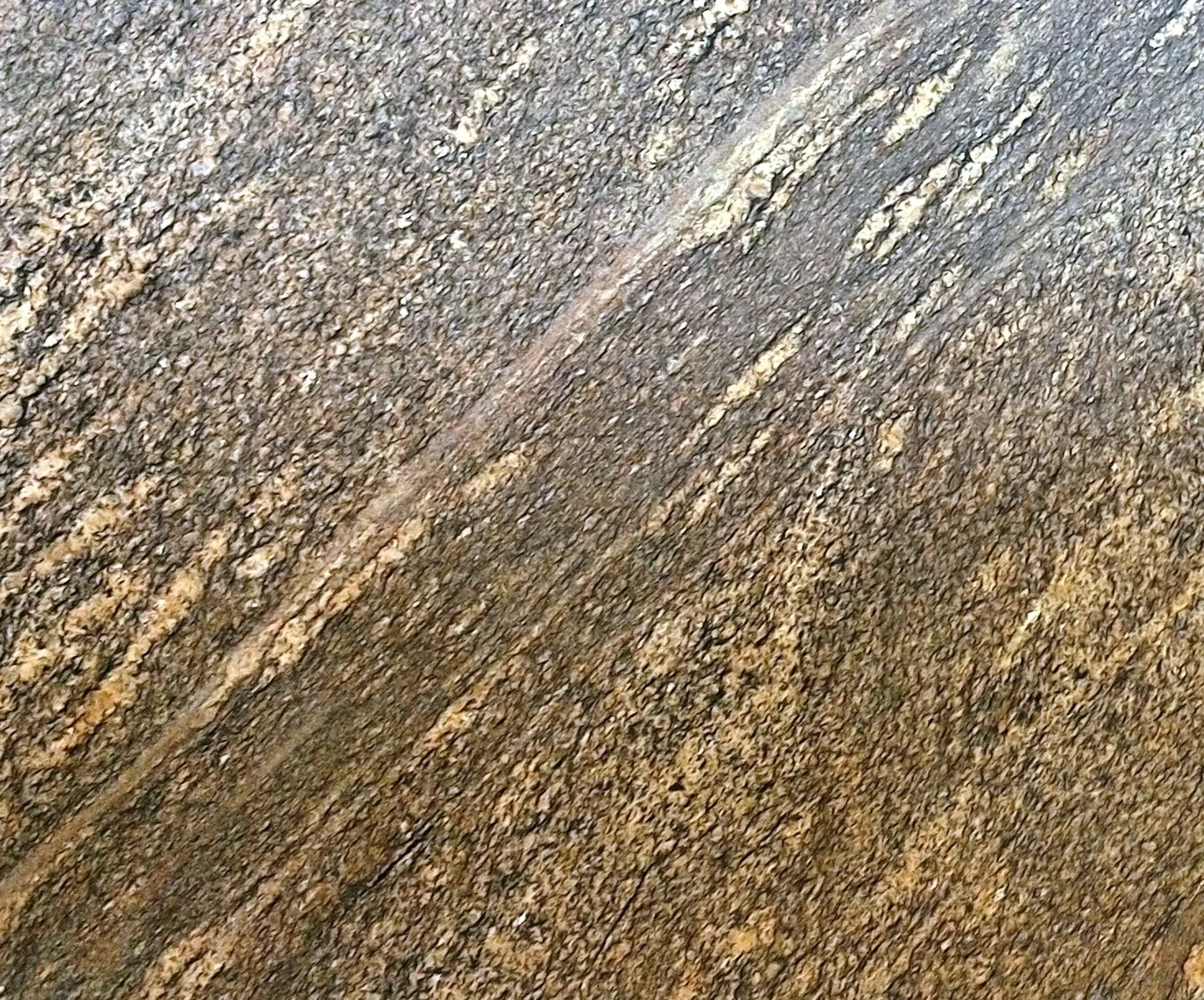 Closeup image of Giallo California Brown Granite countertop slab