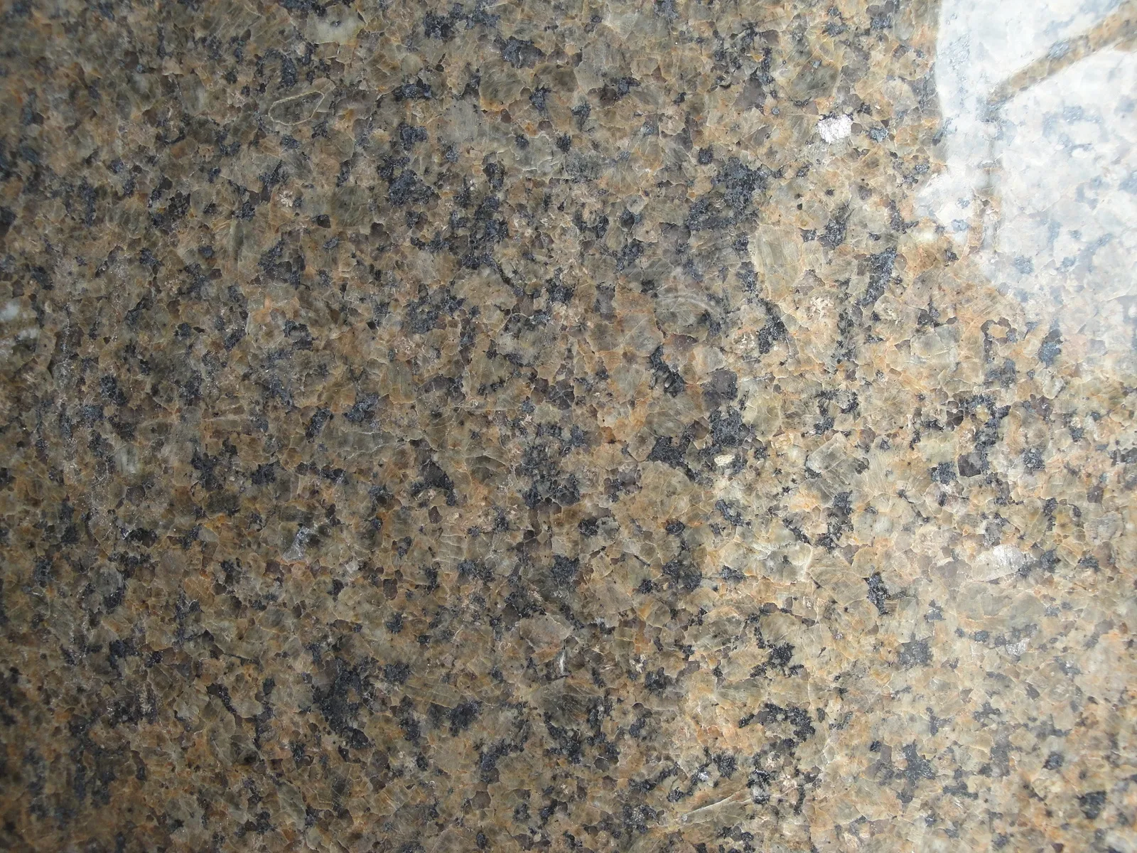 Closeup image of Tropical Brown Brown Granite countertop slab