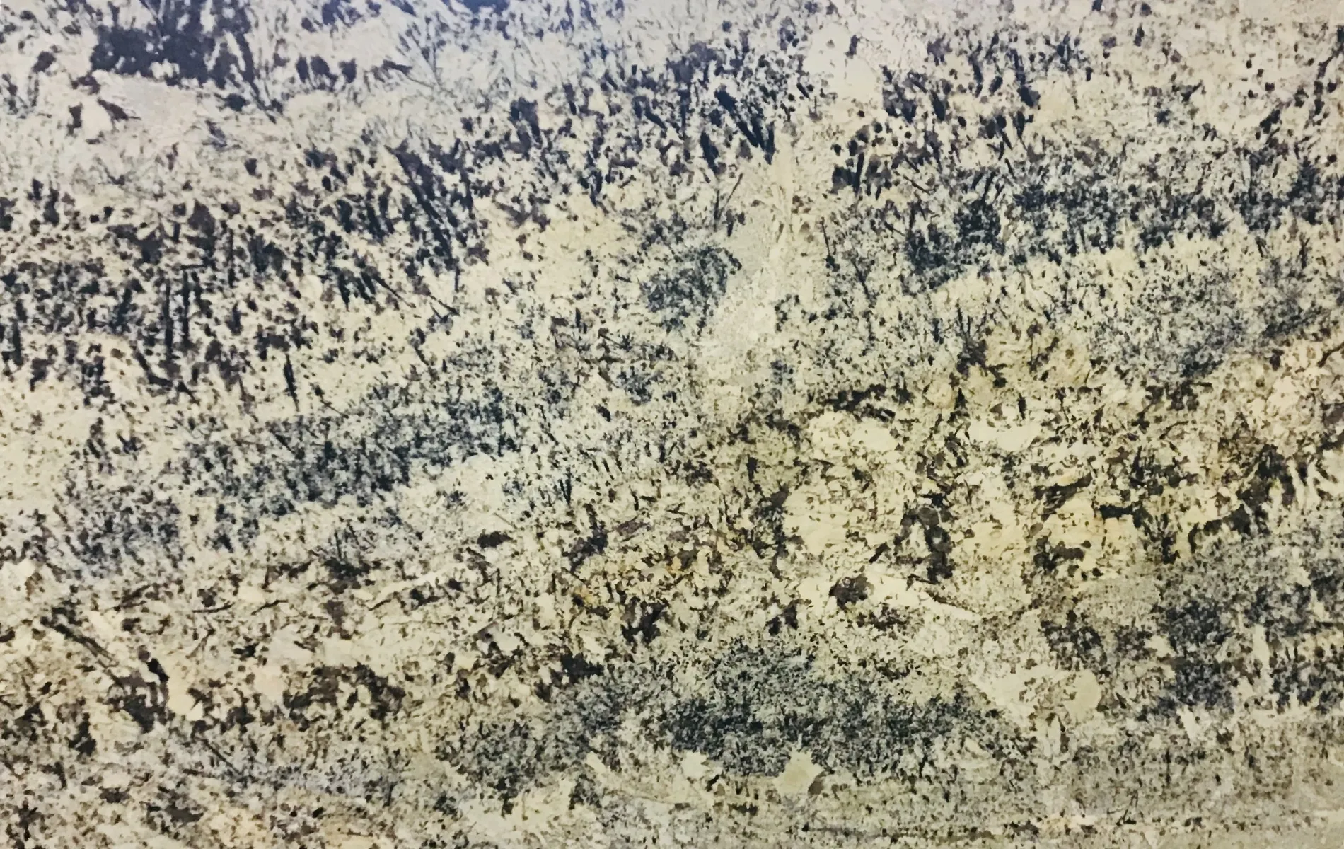Closeup image of Absolute Cream Beige Granite countertop slab