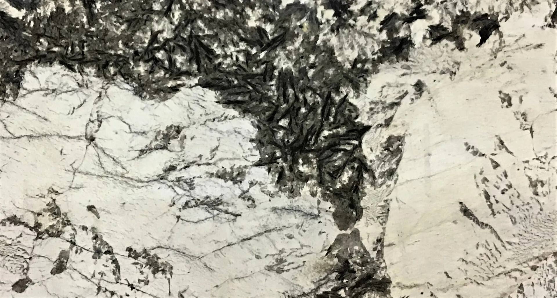 Closeup image of Alpinus White Granite countertop slab