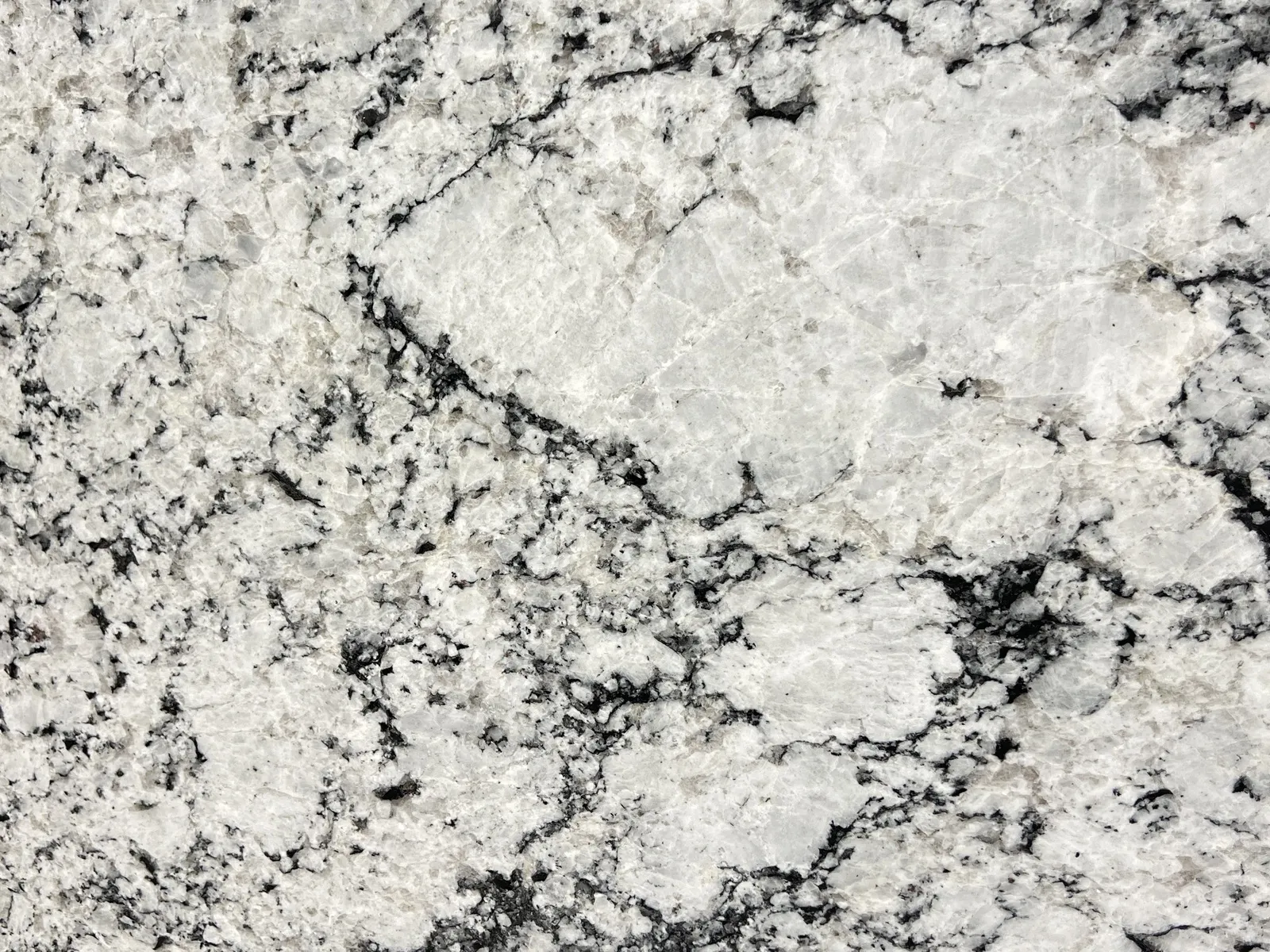 Closeup image of Artic White White Granite countertop slab