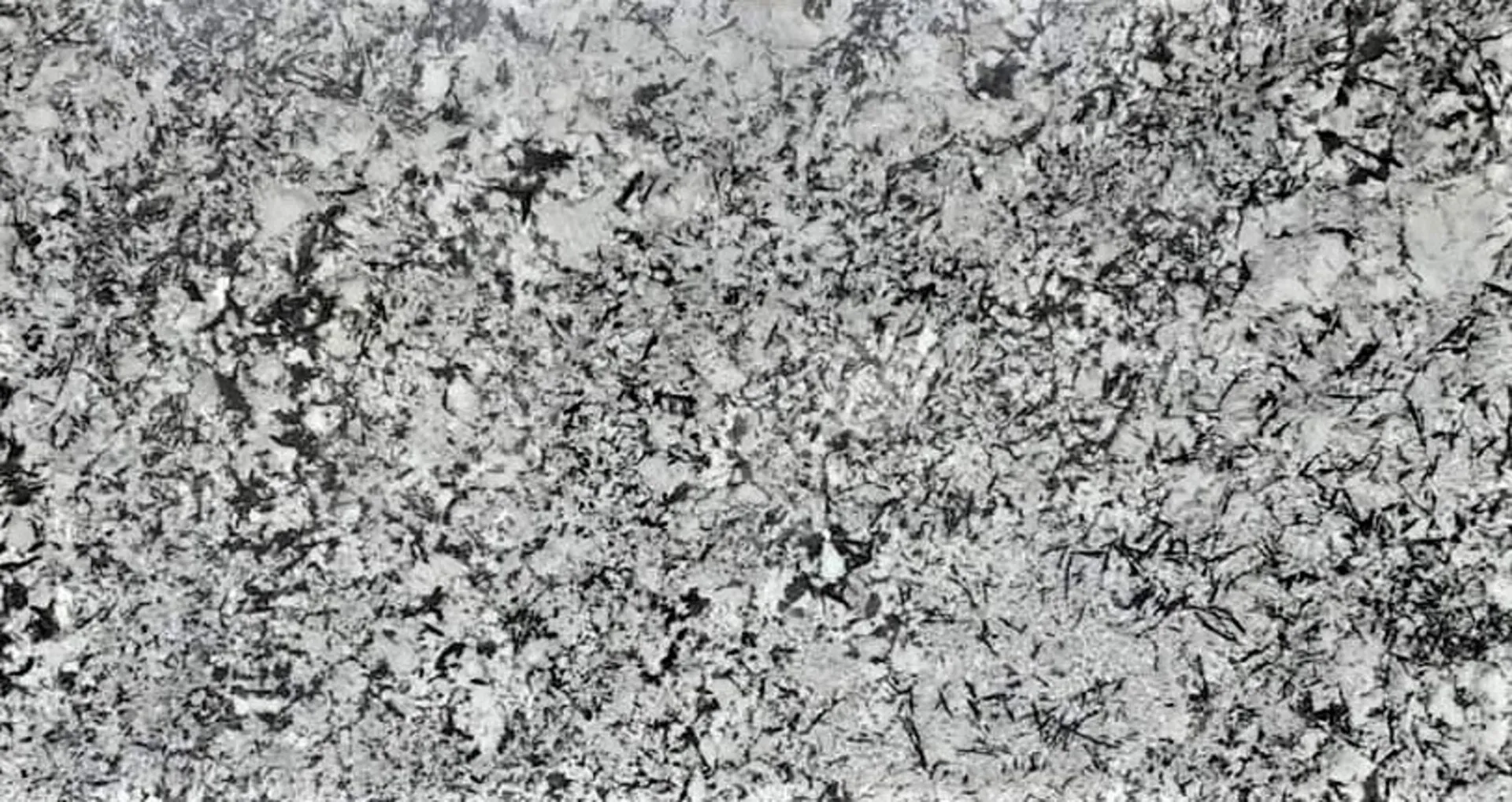 Closeup image of Bianco Antico Grey Granite countertop slab