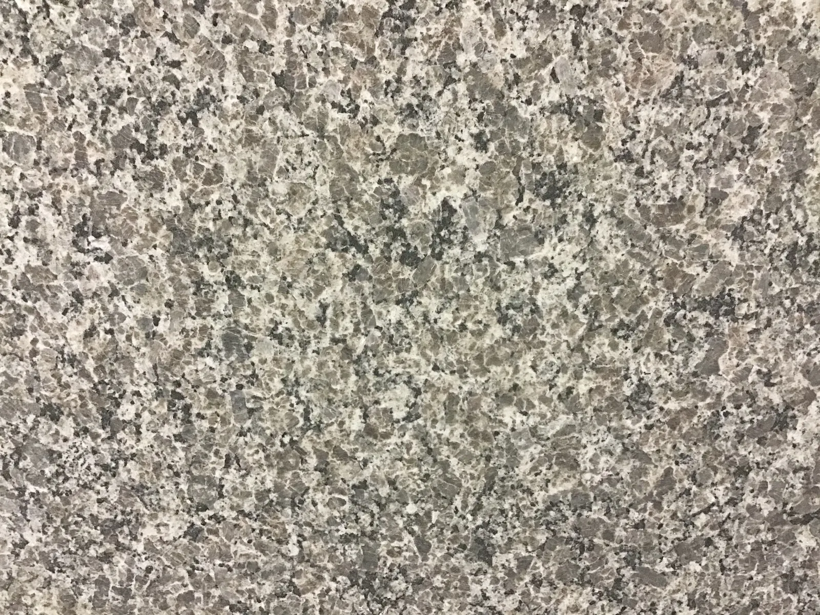 Closeup image of Caledonia Grey Granite countertop slab