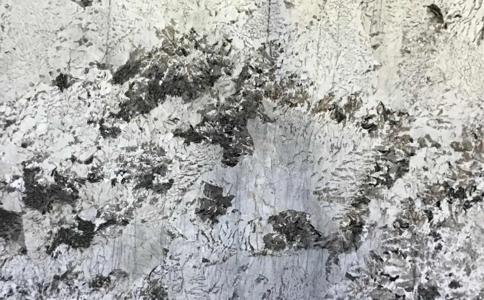 Closeup image of Cape White Grey Granite countertop slab