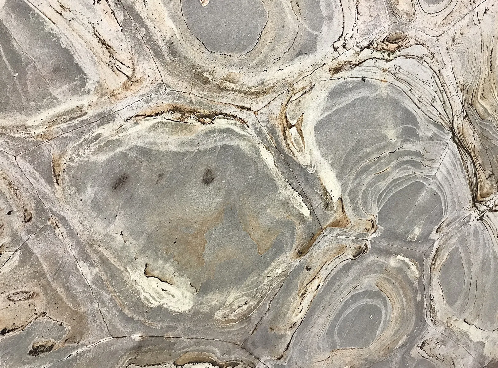 Closeup image of Espinela Grey Granite countertop slab