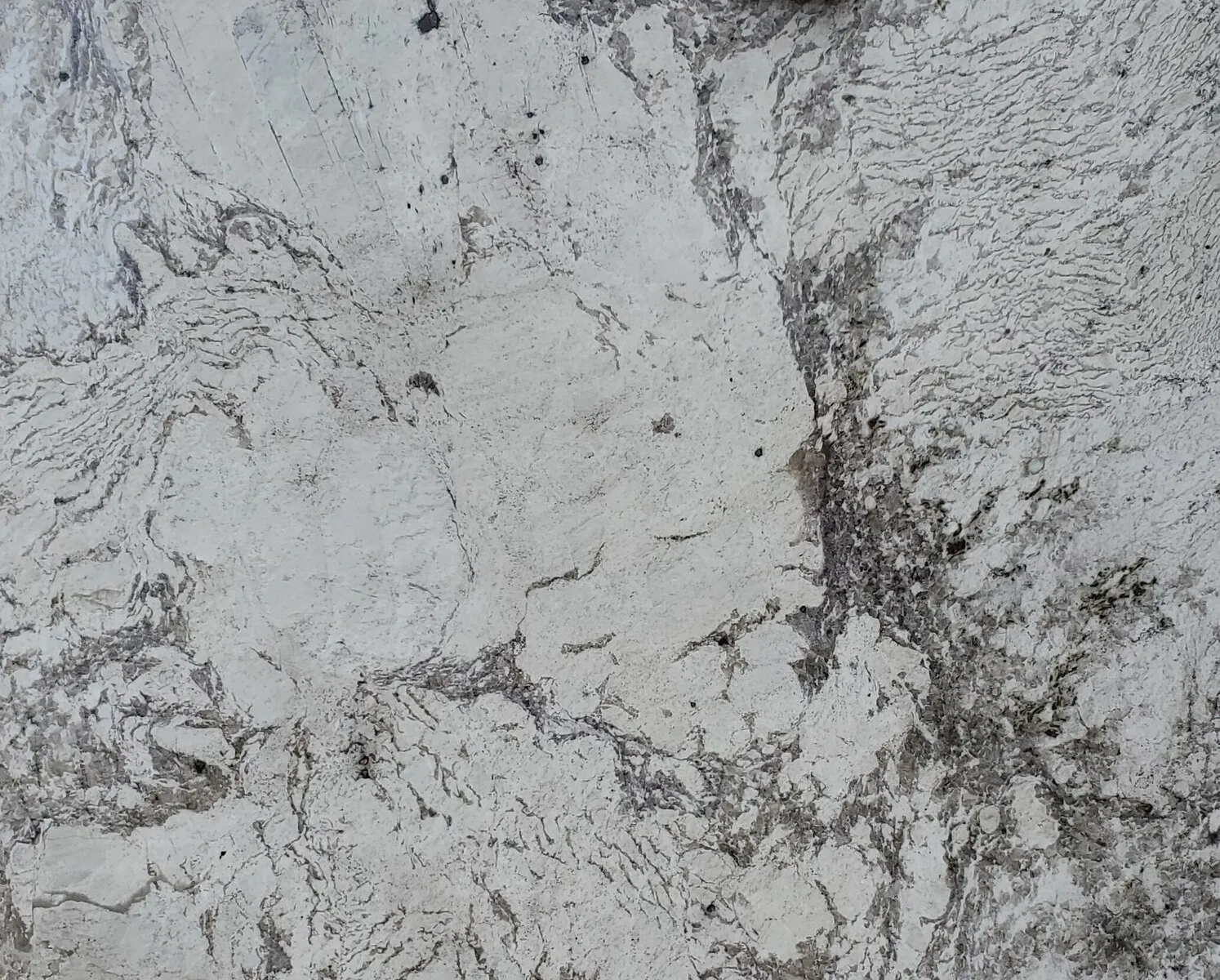 Closeup image of Monalisa Cream Granite countertop slab
