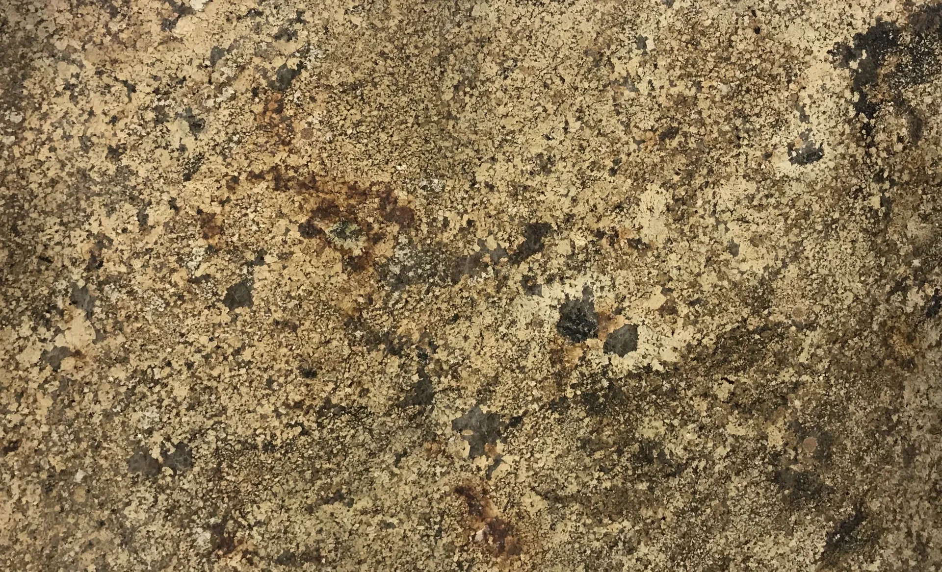 Closeup image of Namibian Gold Beige Granite countertop slab