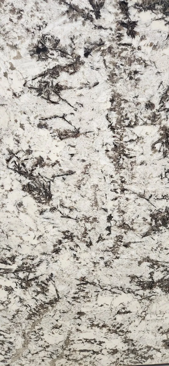 Closeup image of Orion White Cream Granite countertop slab