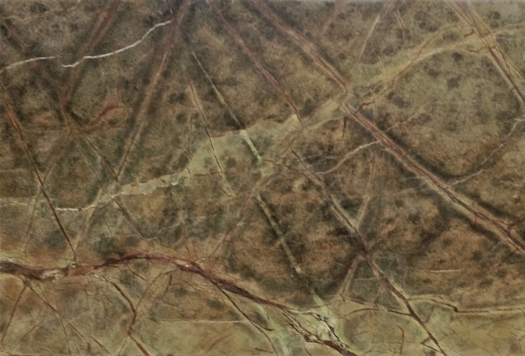 Closeup image of Rainforest Green Brown Marble countertop slab