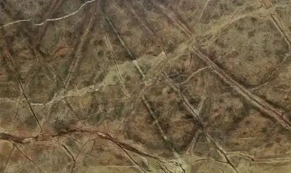 Closeup image of Rainforest Green Brown Marble countertop slab