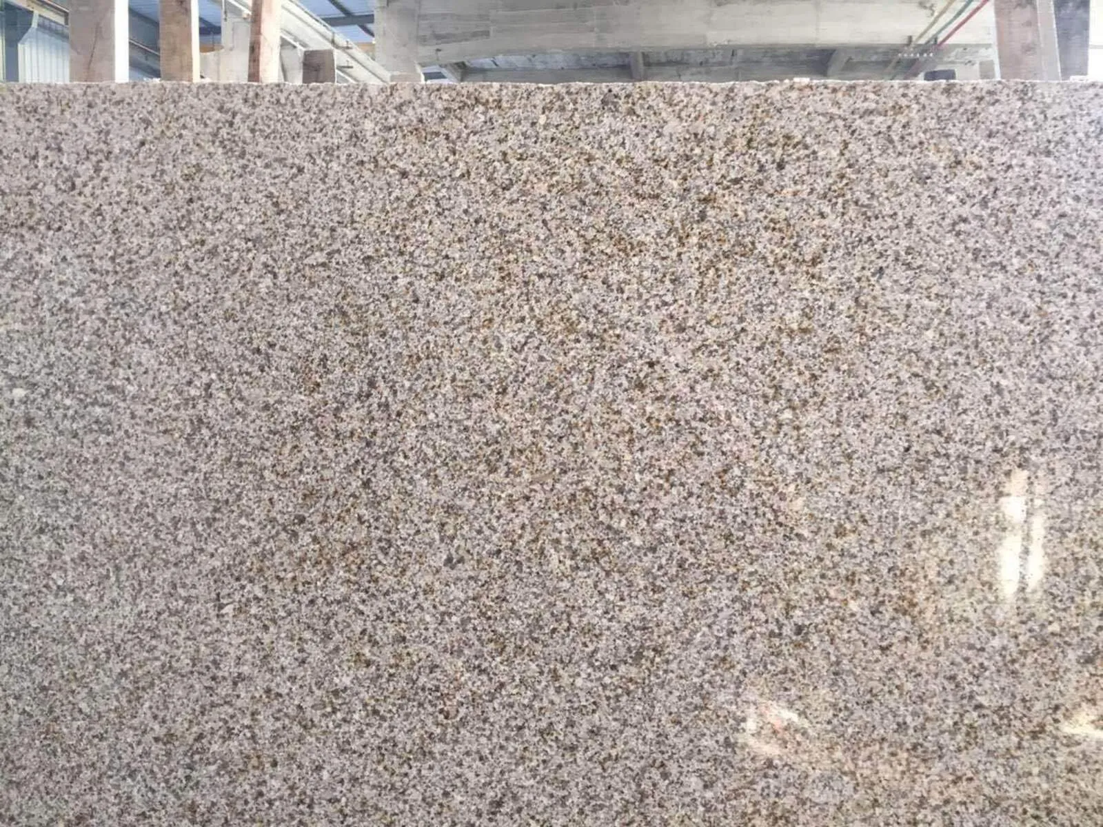 Closeup image of Sandy Gold (Giallo Fantasia) Beige Granite countertop slab