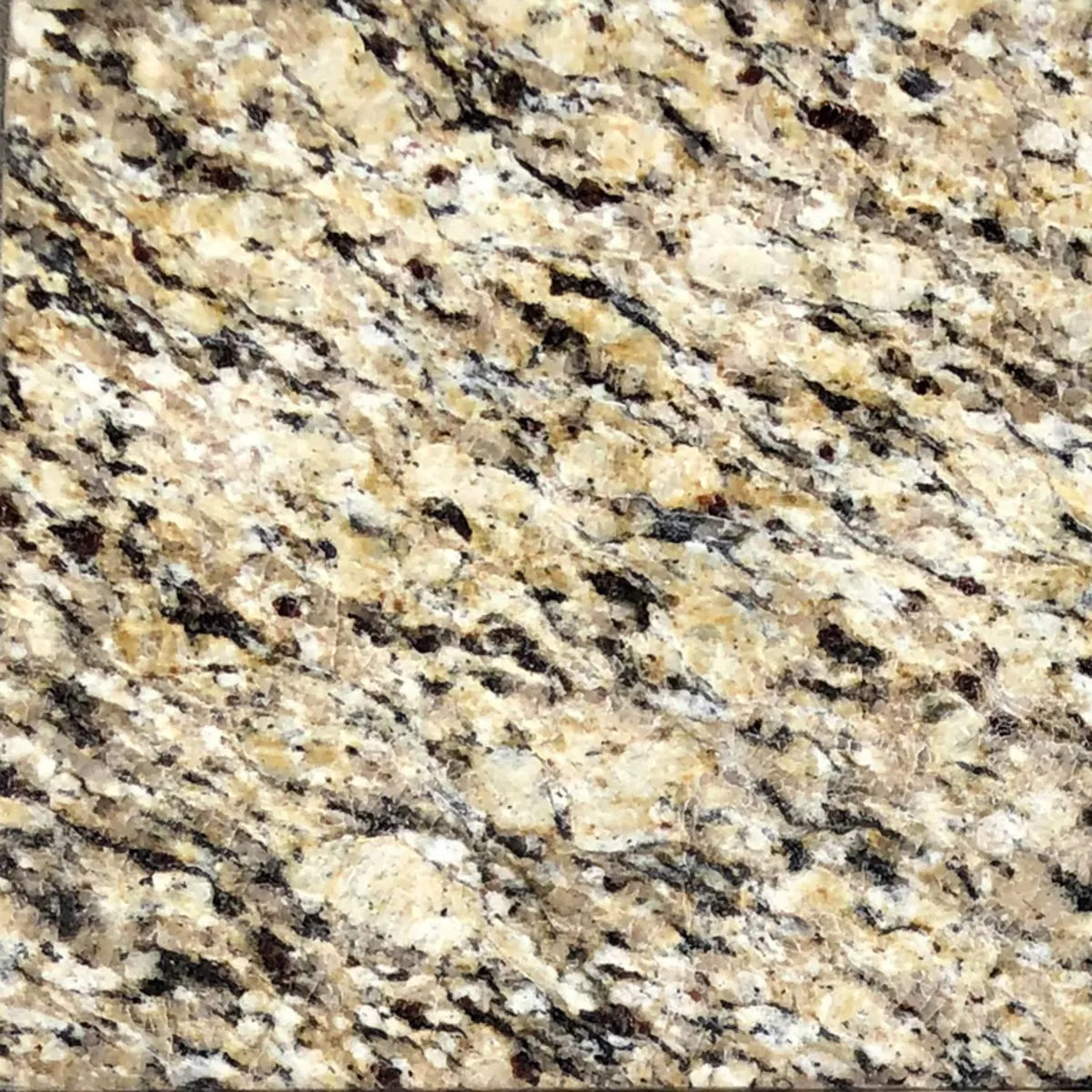 Closeup image of Santa Cecilia Beige Granite countertop slab