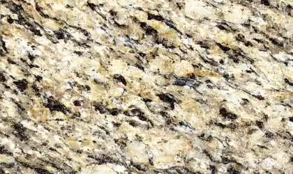 Closeup image of Santa Cecilia Beige Granite countertop slab