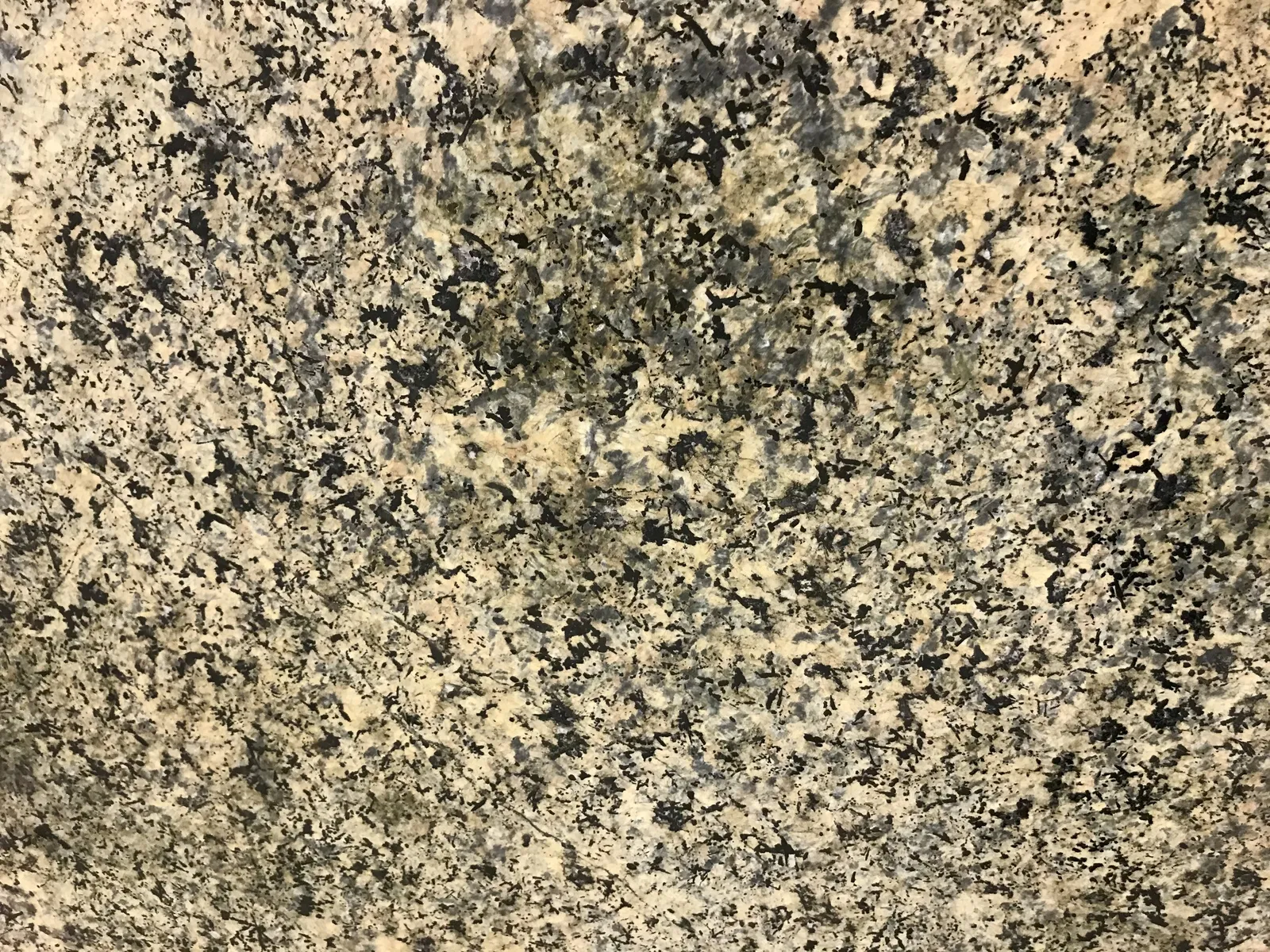 Closeup image of Sea Form Blue Beige Granite countertop slab