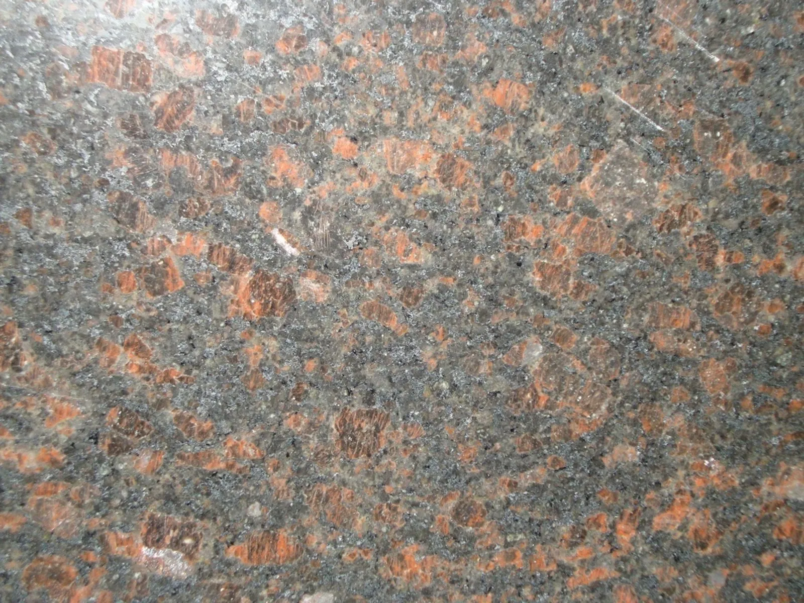 Closeup image of Tan Brown Brown Granite countertop slab