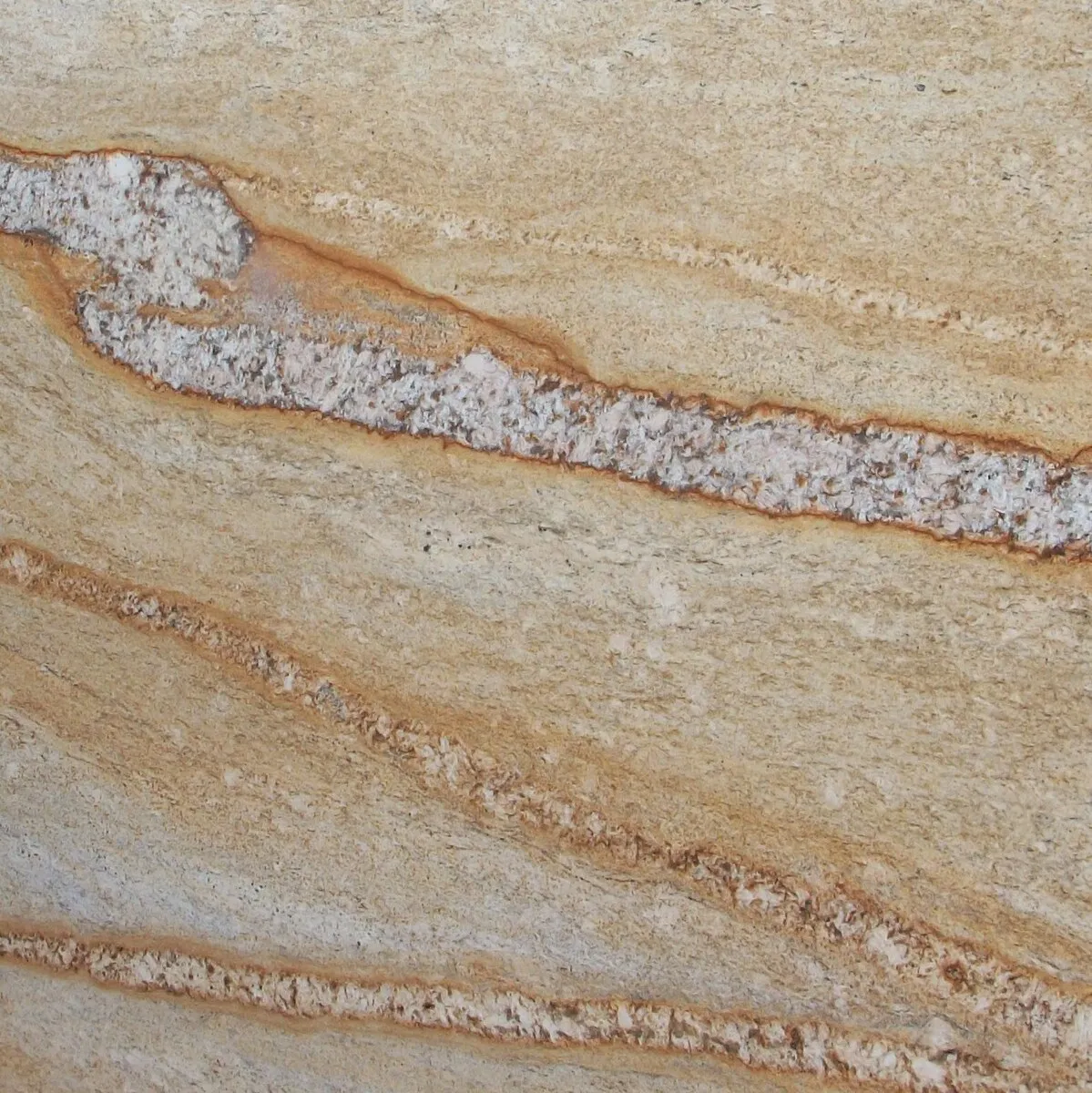 Closeup image of Tree Trunk Beige Granite countertop slab