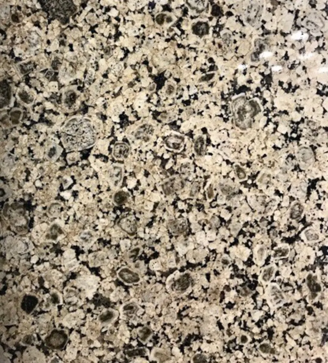 Closeup image of Verde Ghazal Yellow Beige Granite countertop slab